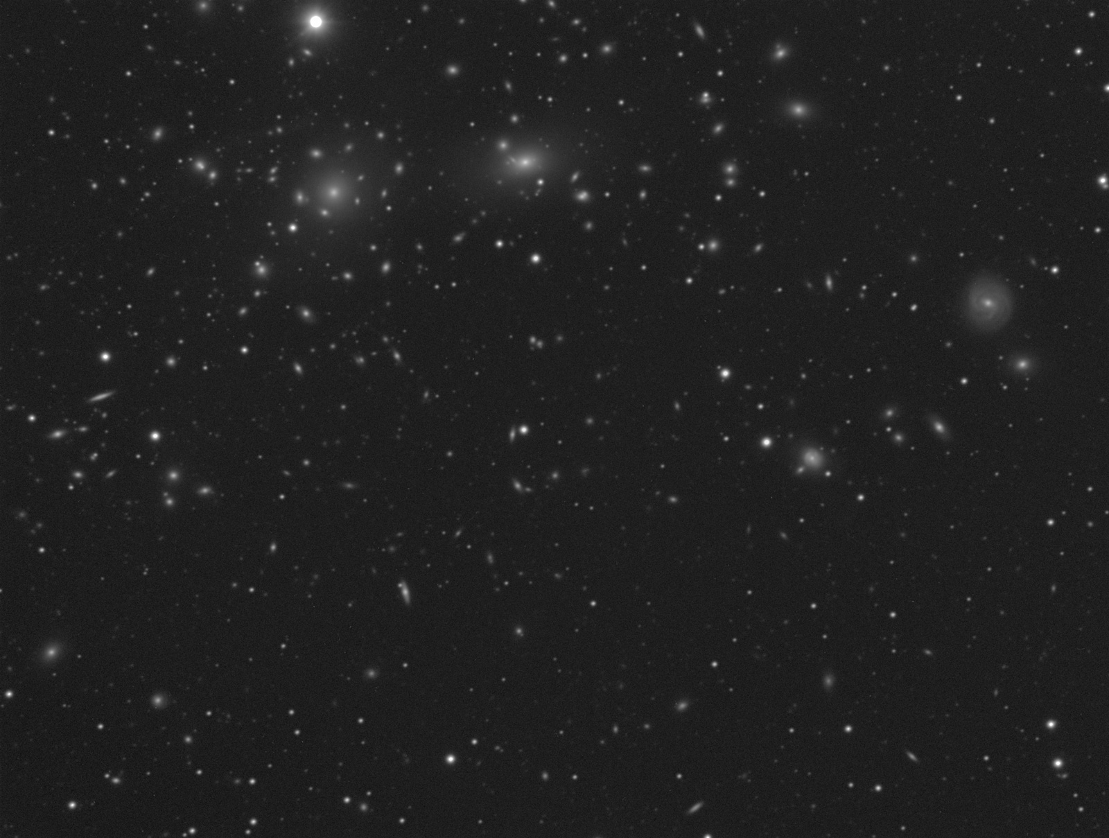 All'interno della Chioma di Berenice