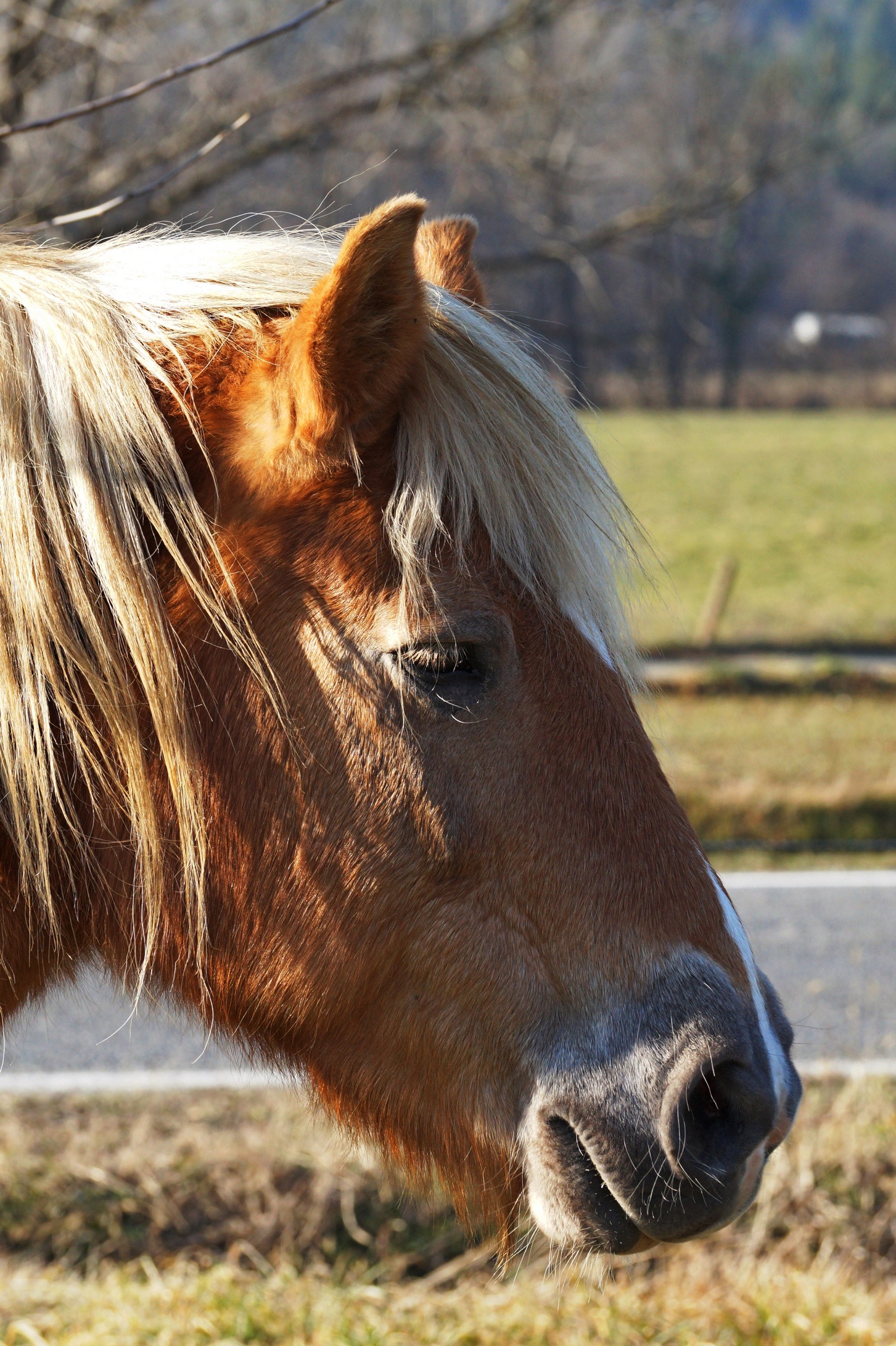 Il mio profilo migliore !