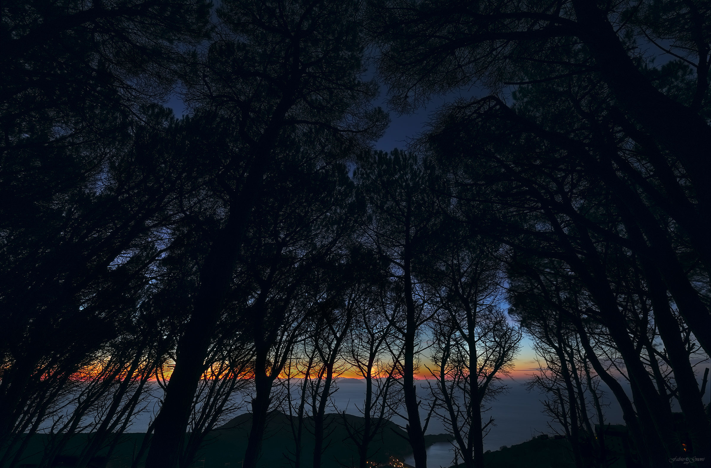 Montecristo through the Forest