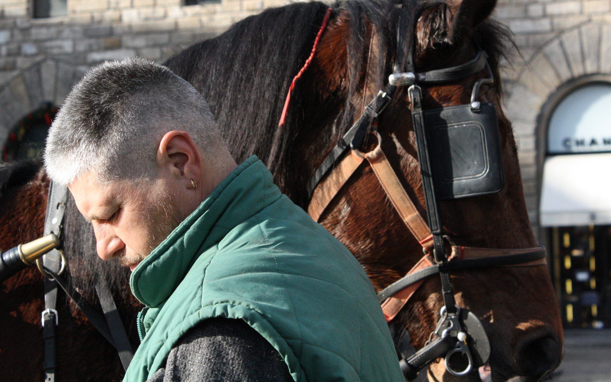 L'uomo e il suo cavallo