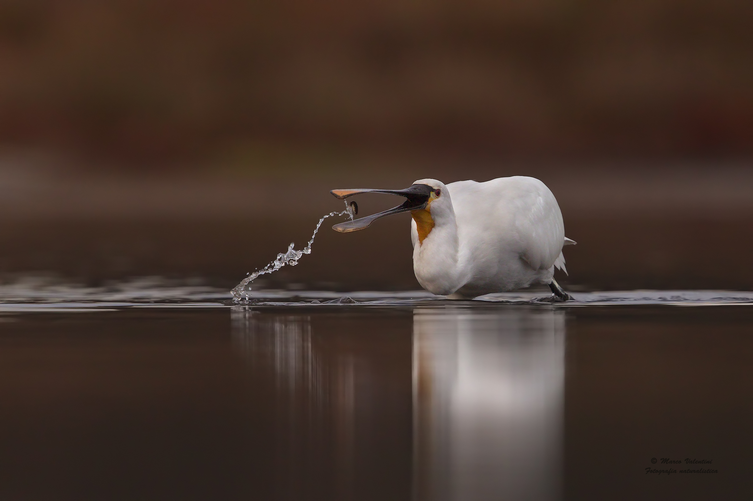 The necklace of death