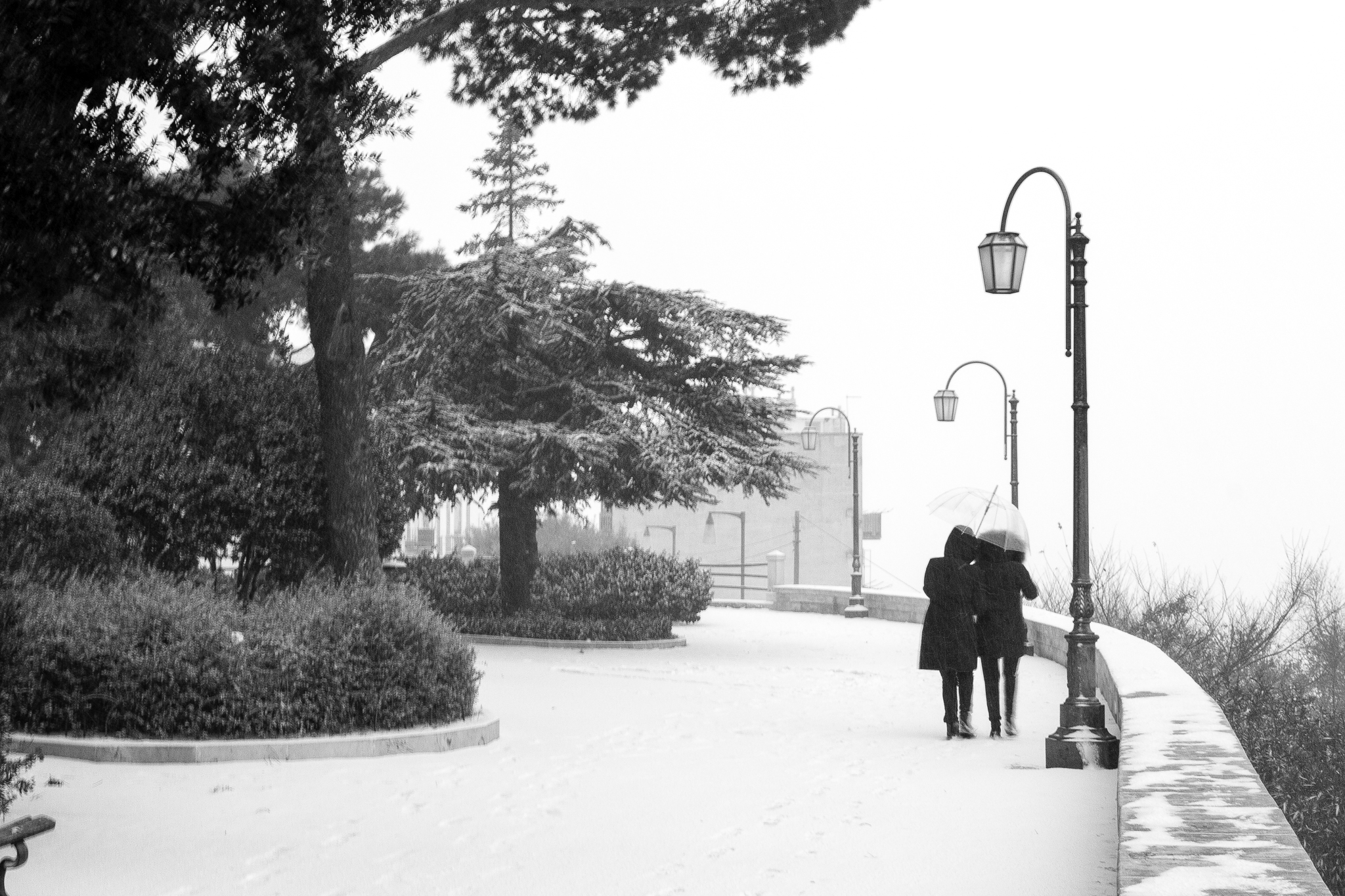 Passeggiata innevata