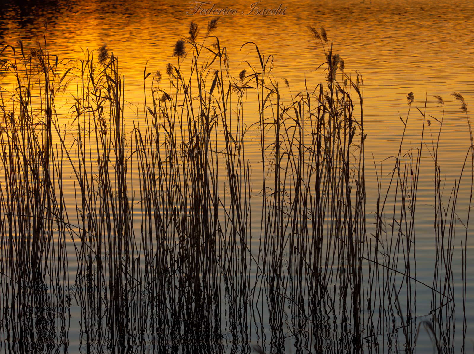 The complementary nature