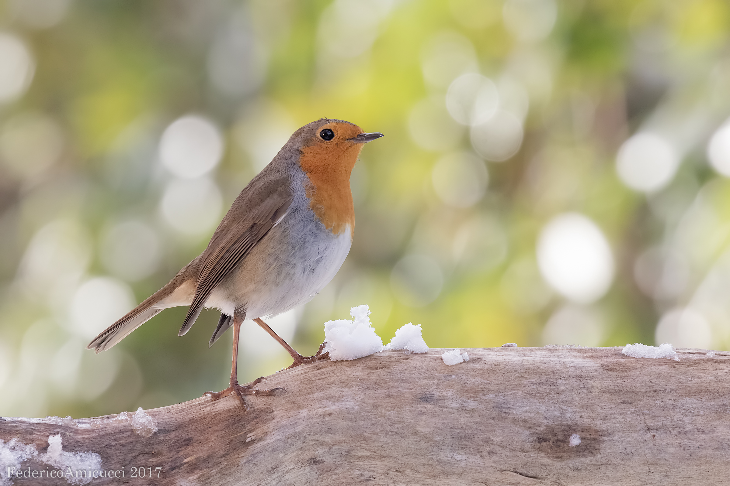 Finalmente un pò di sole dopo tanta neve!