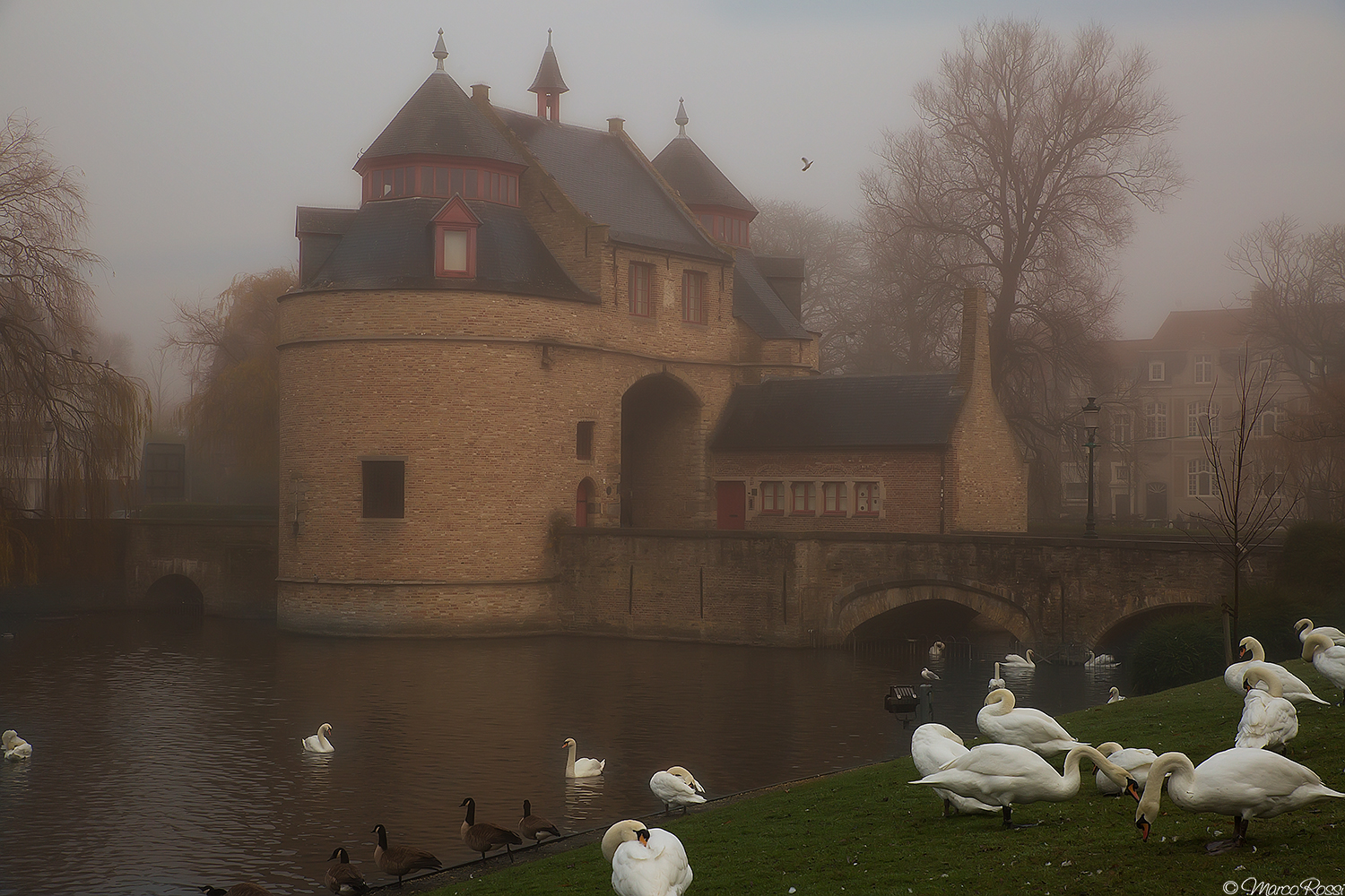 Bruges Porte des anes