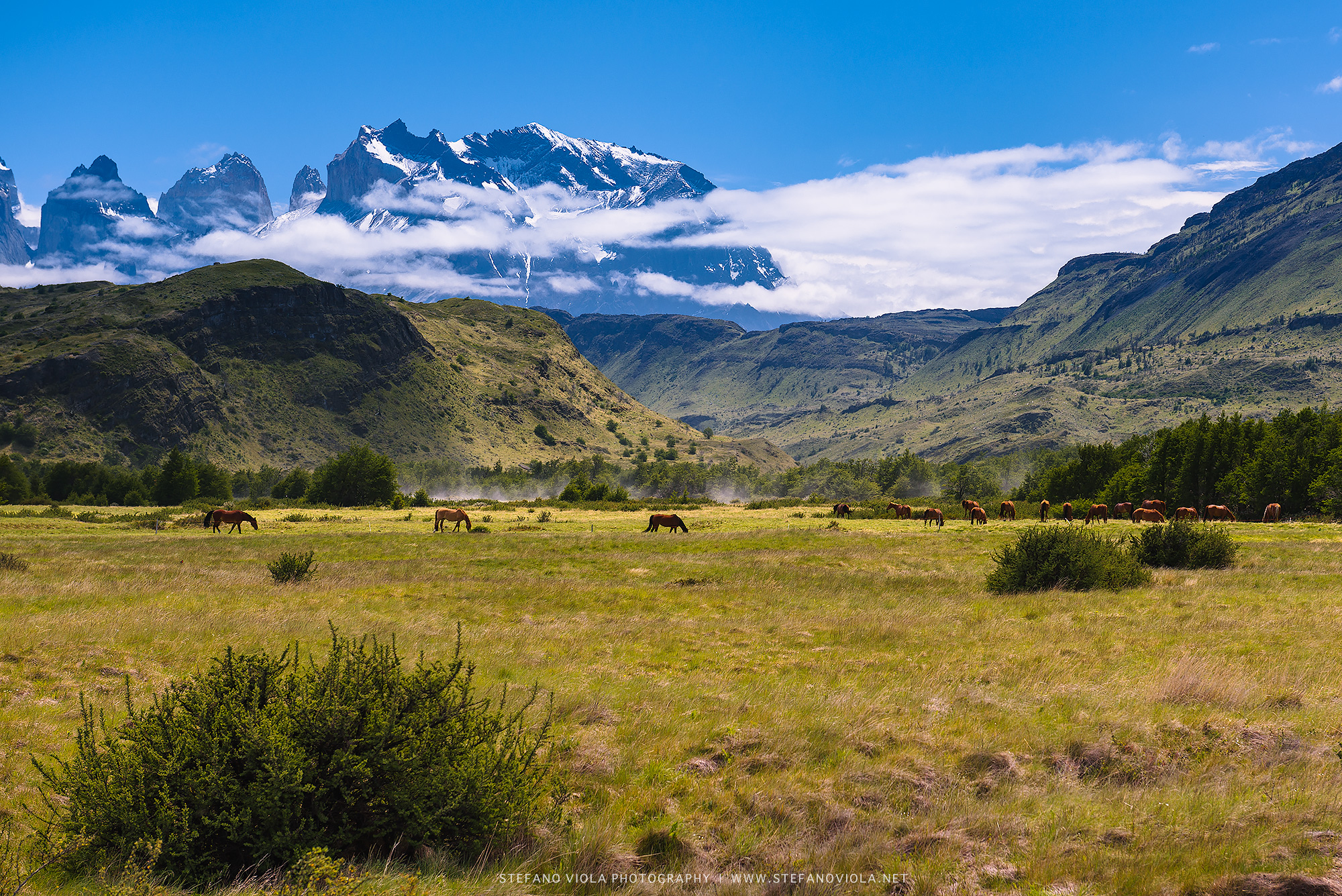 Waking up in paradise