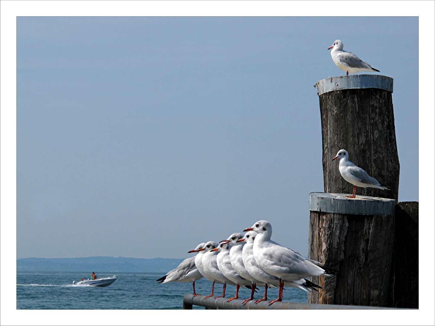 Tutti attenti .... meno uno