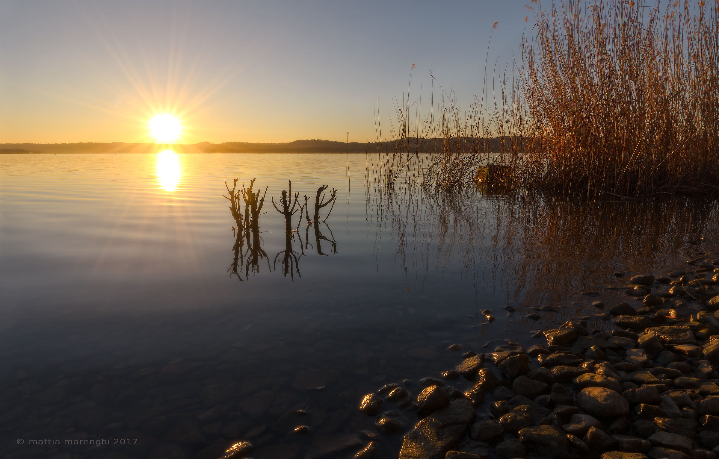 A warm winter awakening