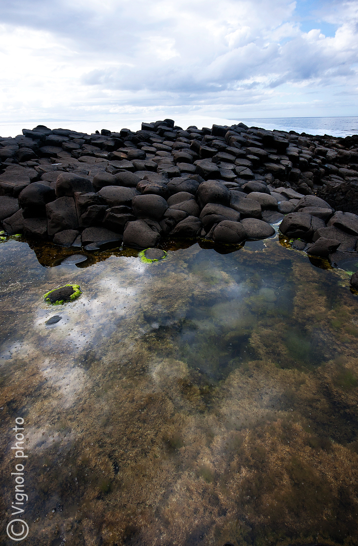 Giant's causeway,Irlanda del Nord