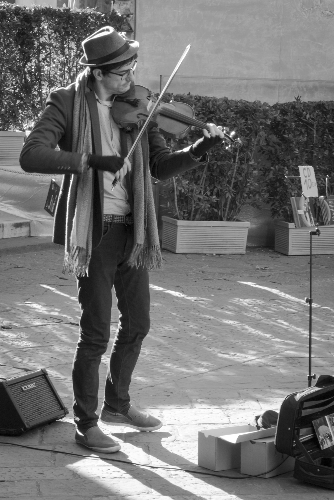 violinista fiorentino