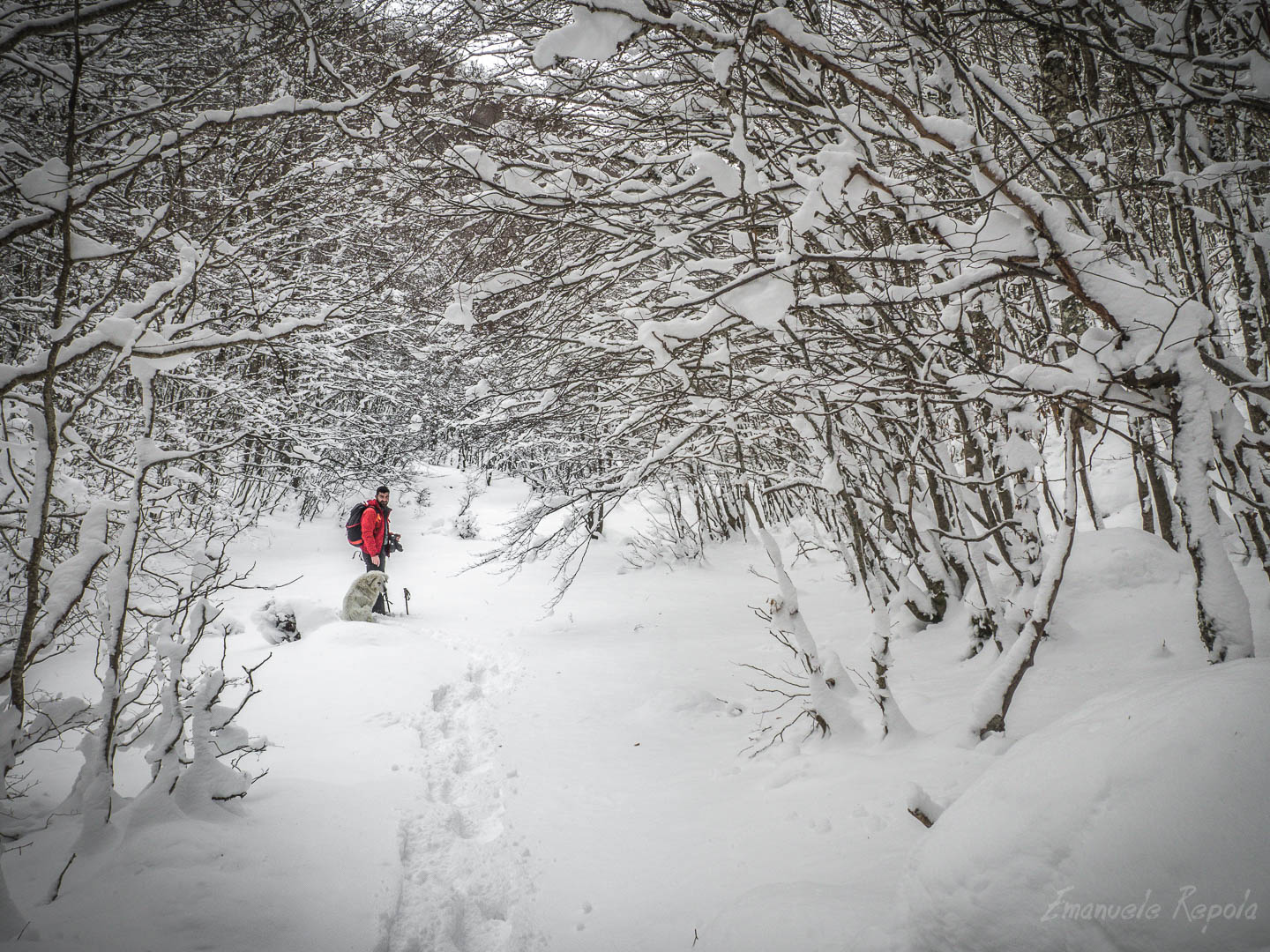 Snowshoeing at Lake Vivo. K4 path. Barrea # 2