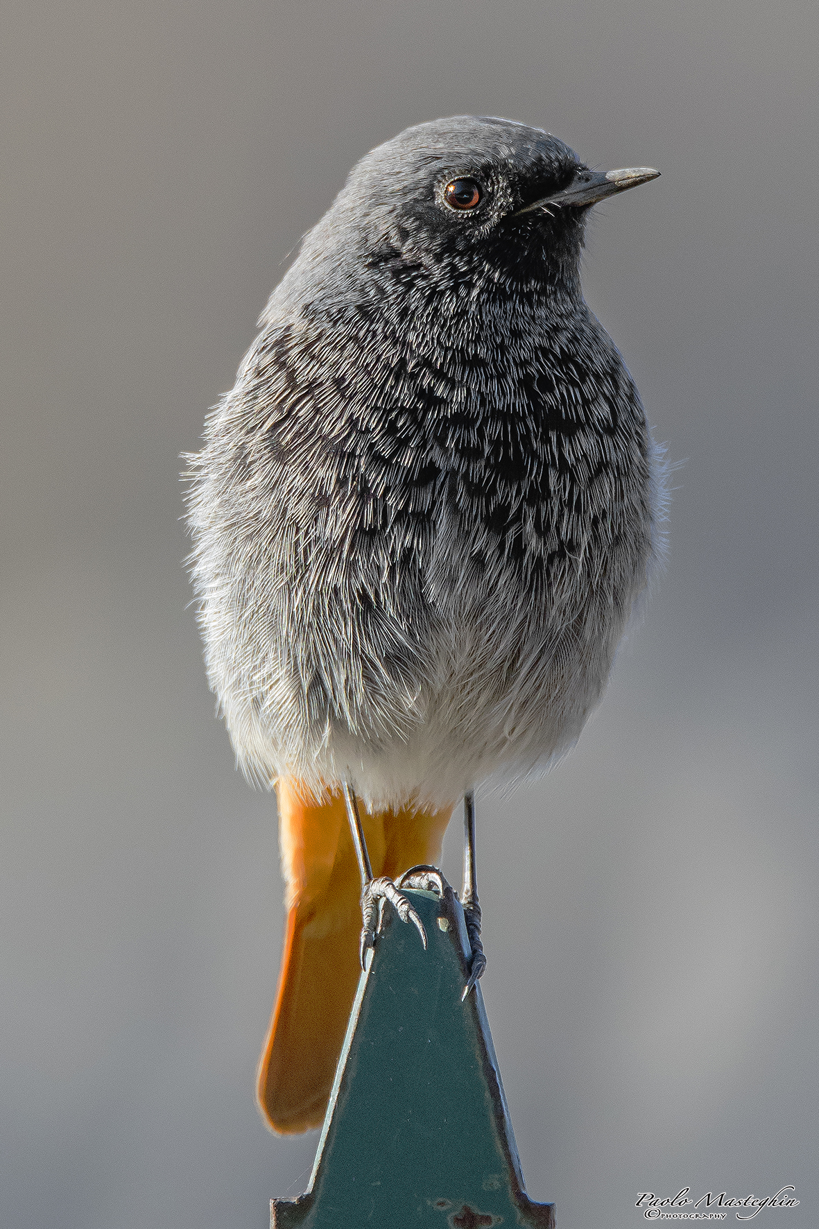 Prove di equilibrismo...