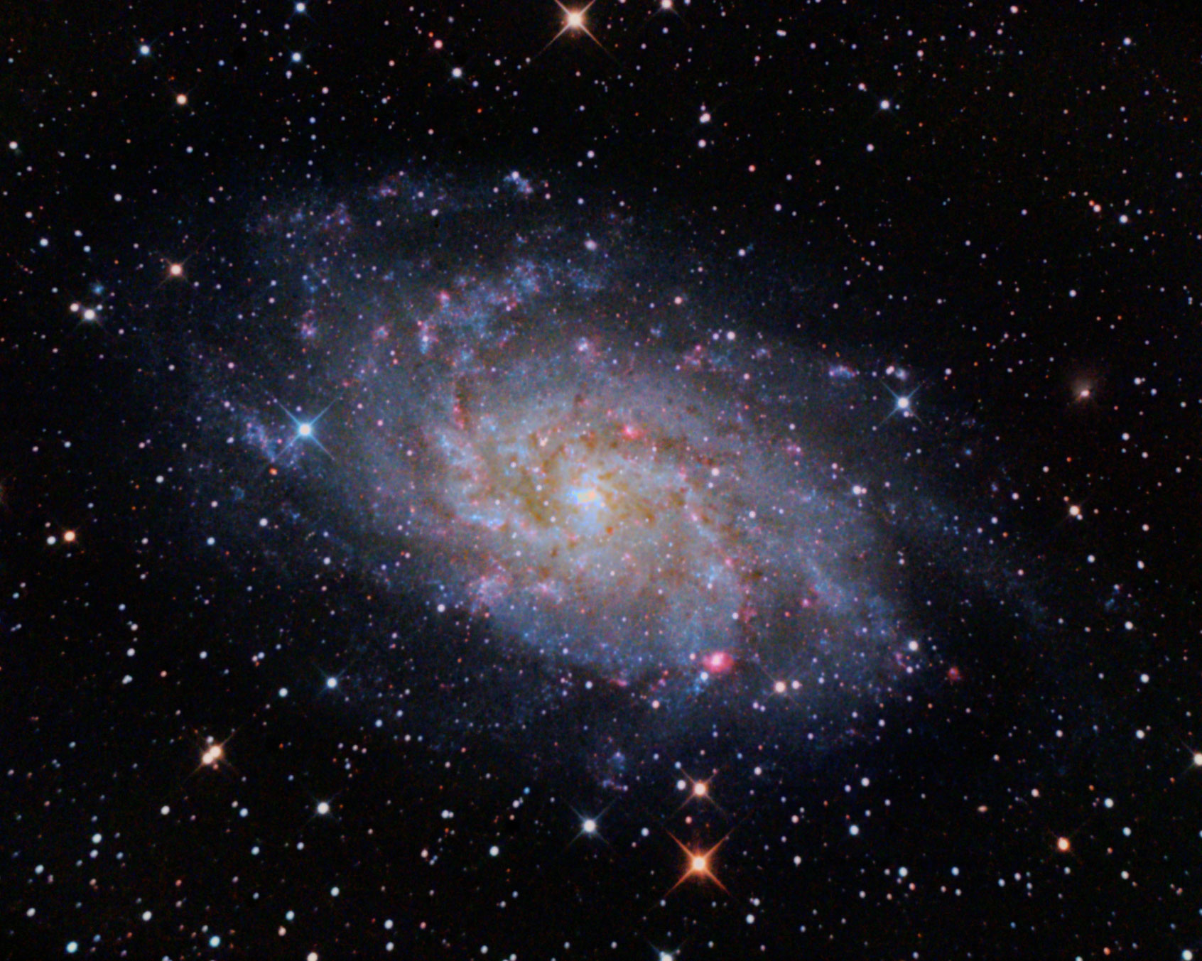 M33