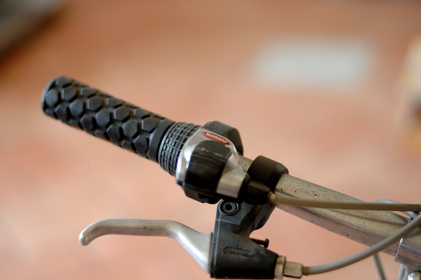 snooping around the house