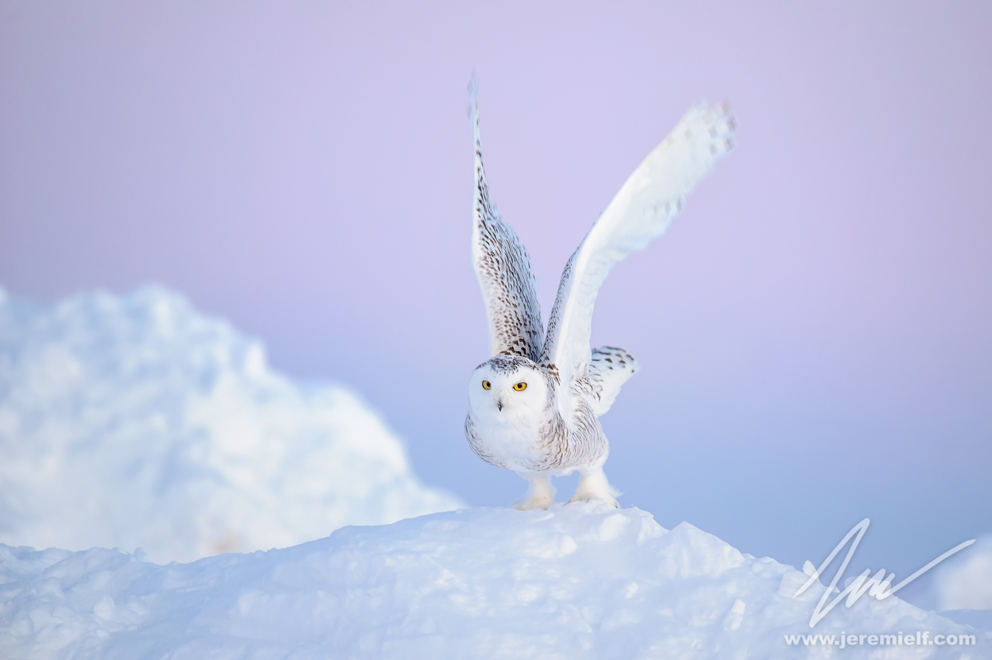 Magic blue hour take off