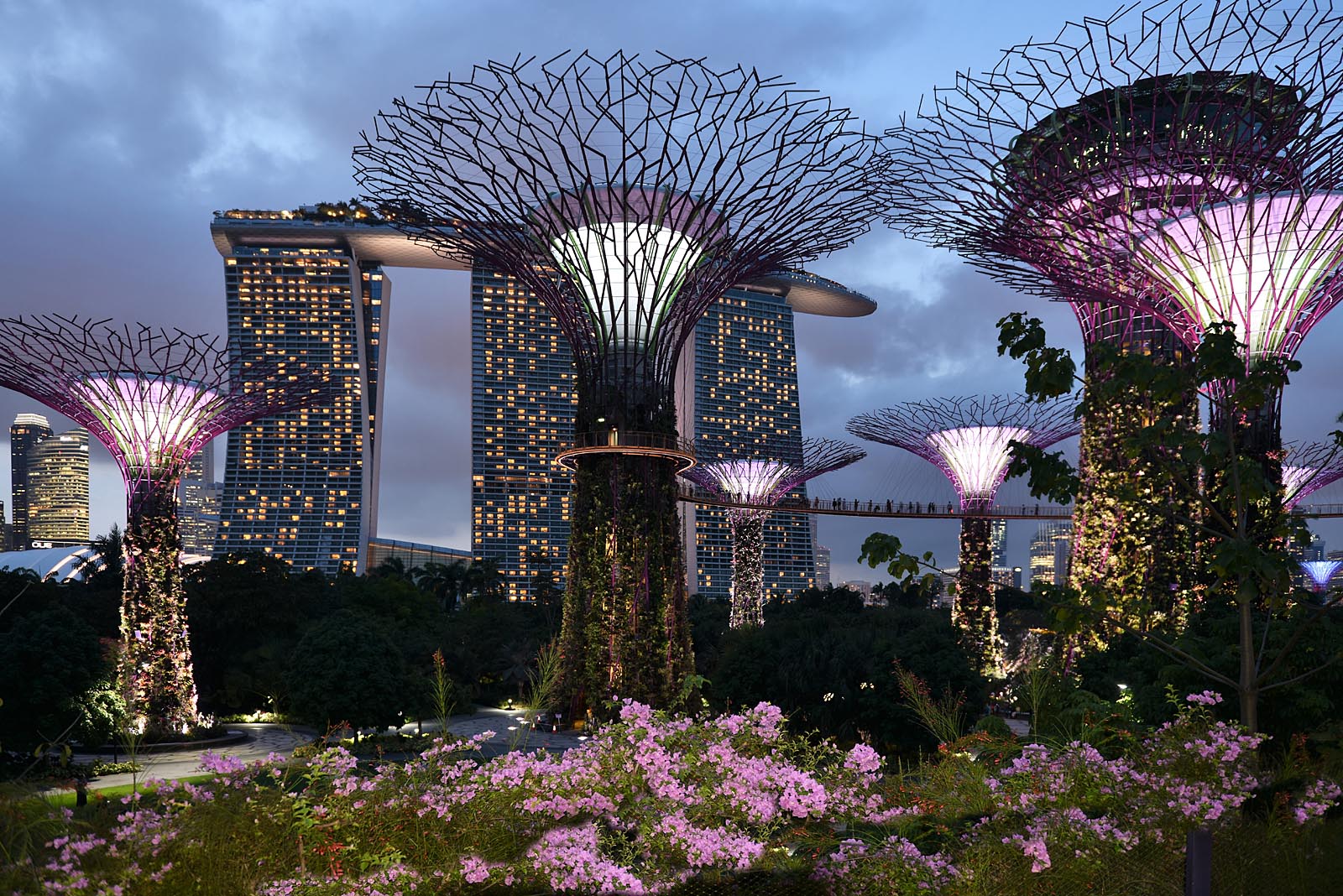Singapore Gardens by the Bay