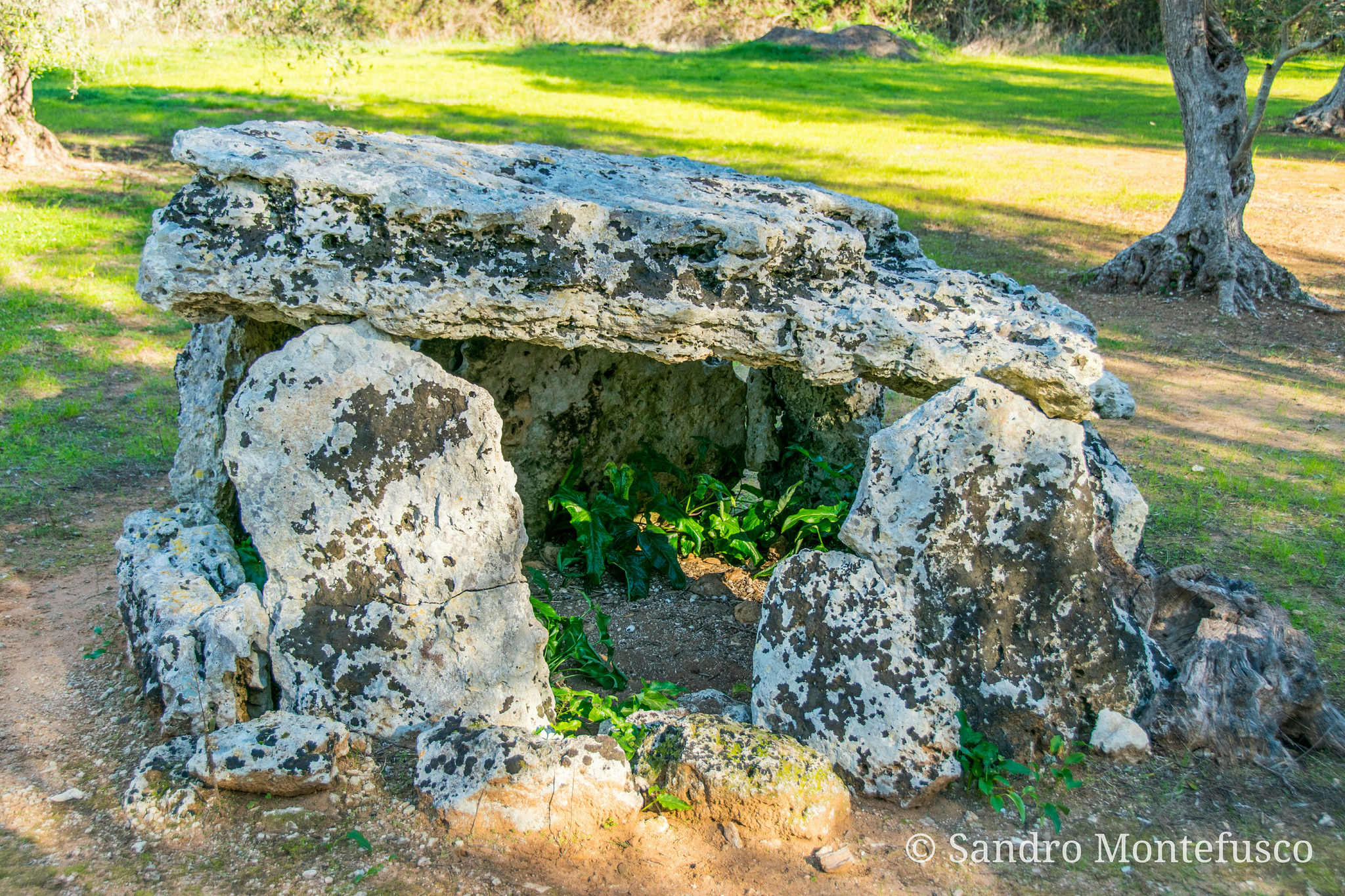 Dolmen "Placa"
