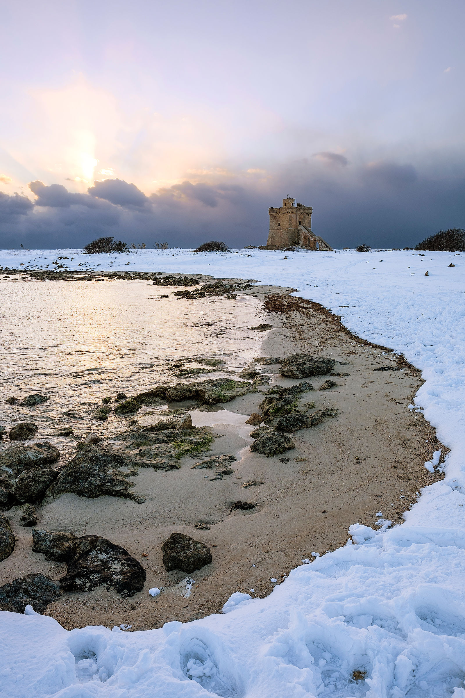 Snowy Torre Squillace