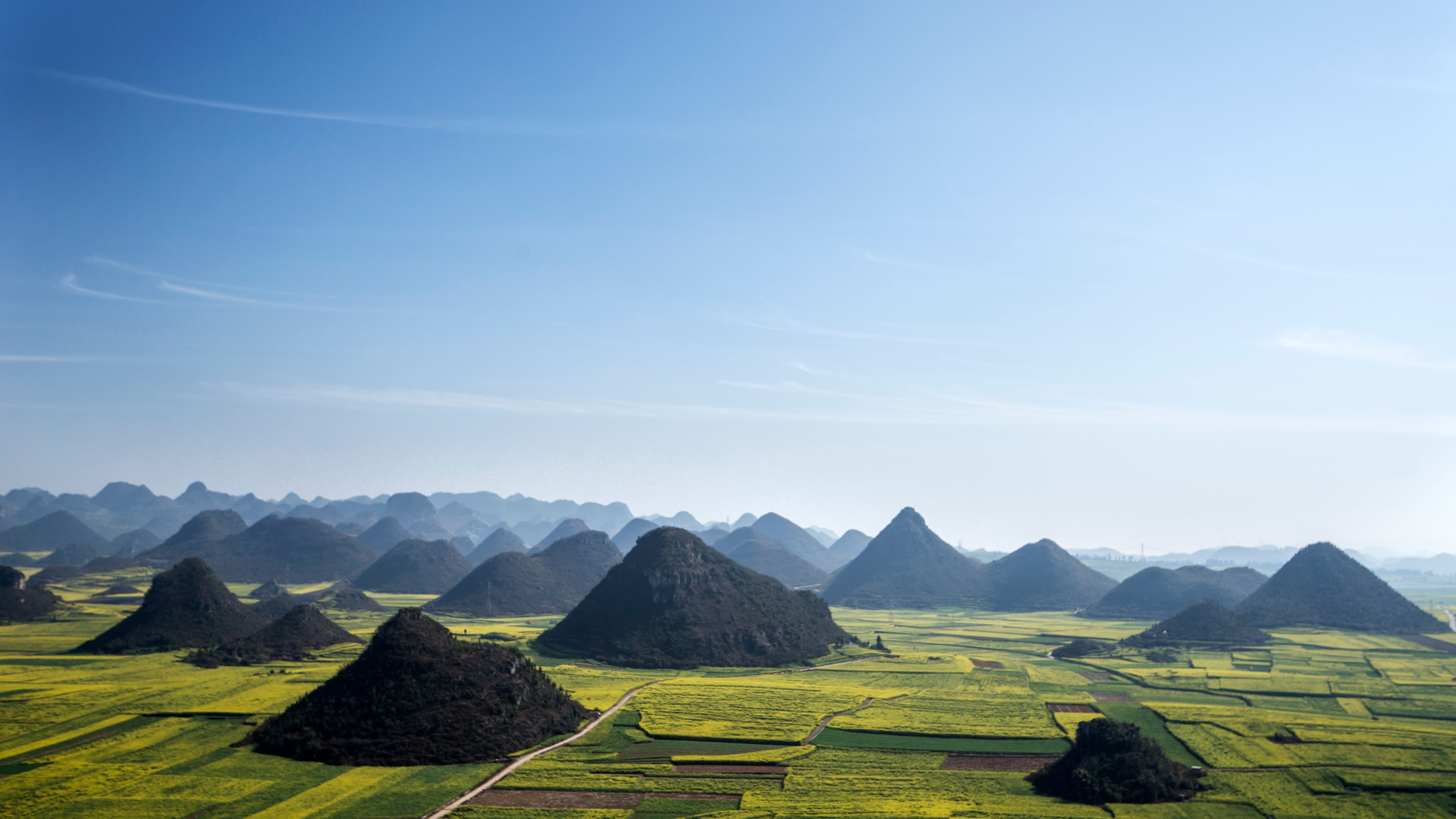 Blossoming turnip greens between limestone hills China