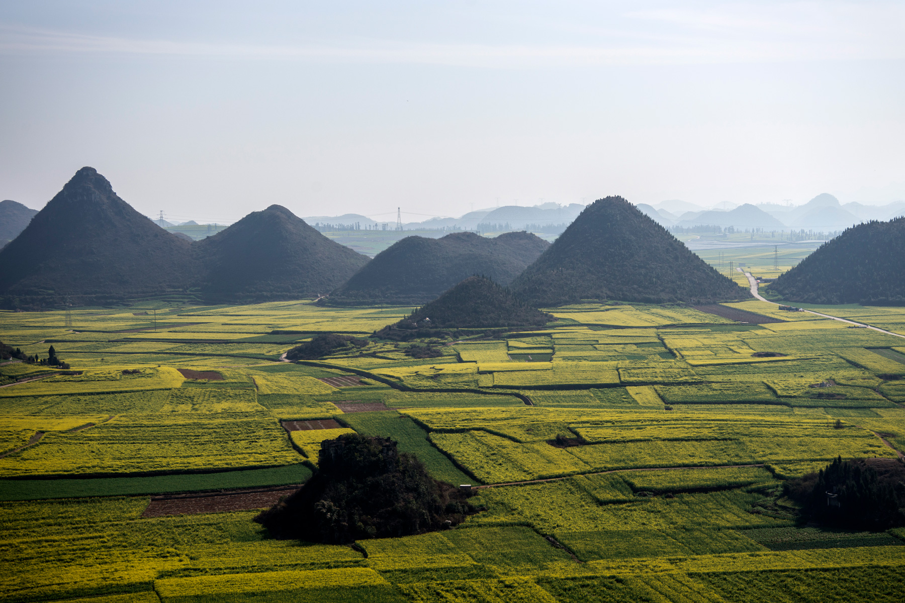 Blossoming turnip greens between limestone hills China