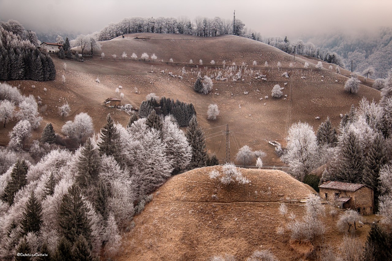 Hoarfrost instead of snow !!!