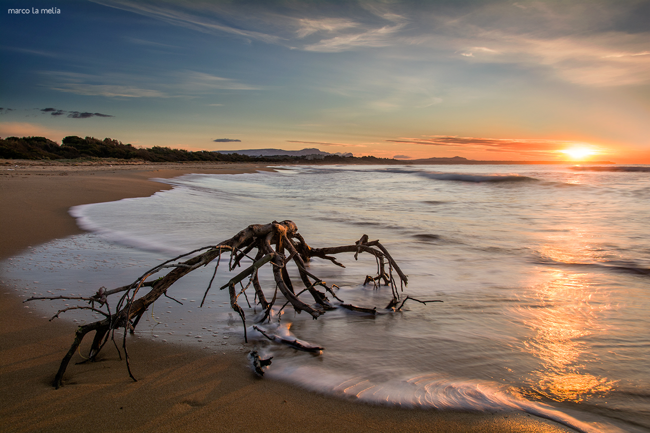 Reflections and contrasts