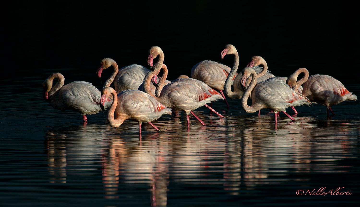 on the way to the lagoon