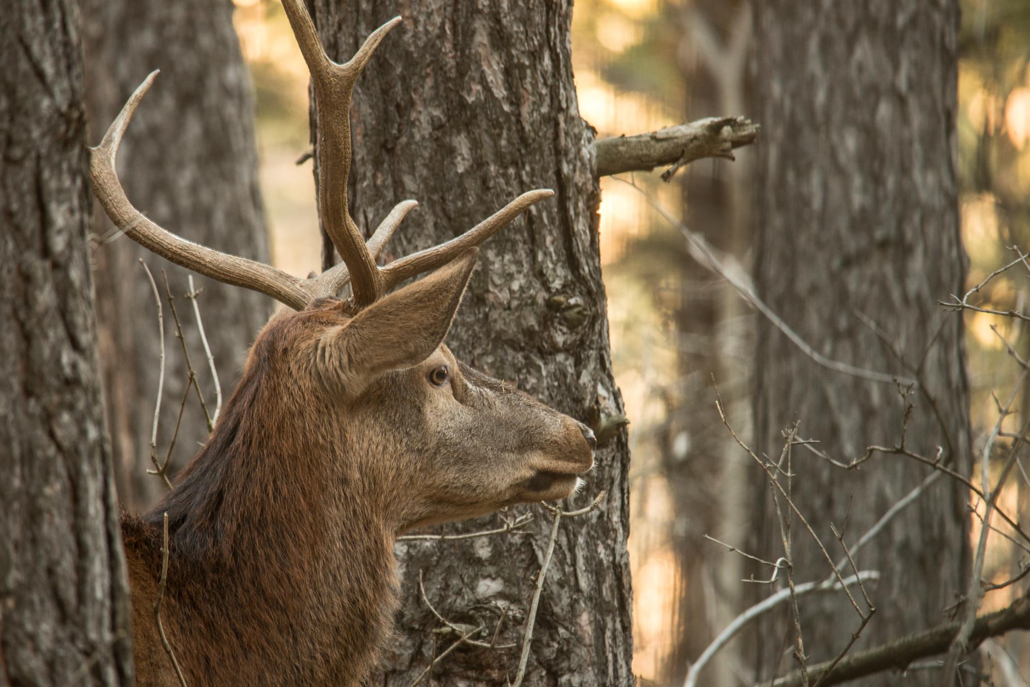 I see you but you do not