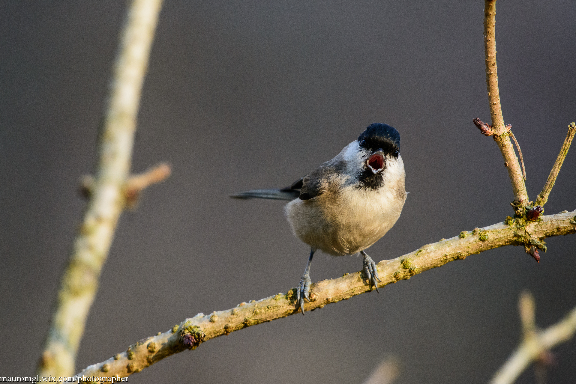 A bit of privacy !!!!!