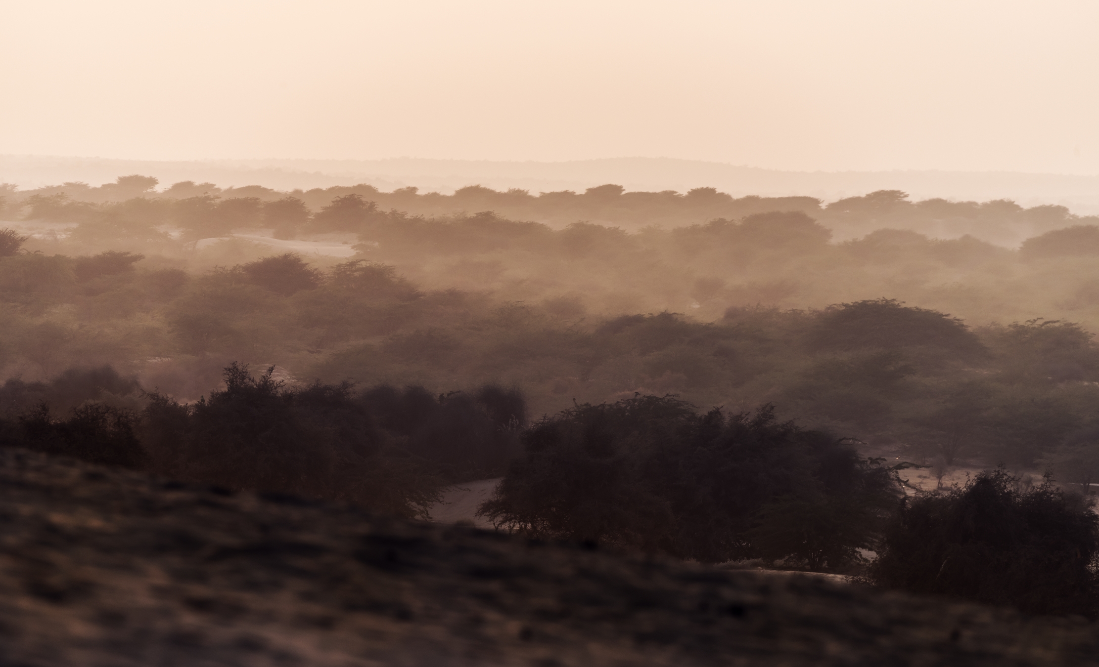 Rajasthan 2017 - Tramonto sul deserto di Jaisalmer