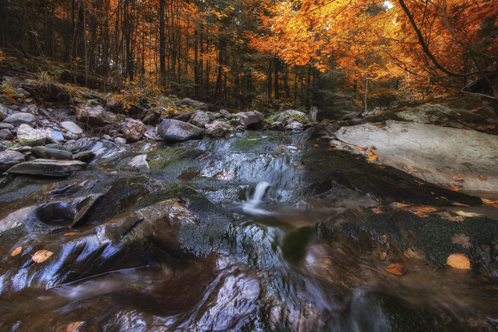 Stream, St-Sylvestre