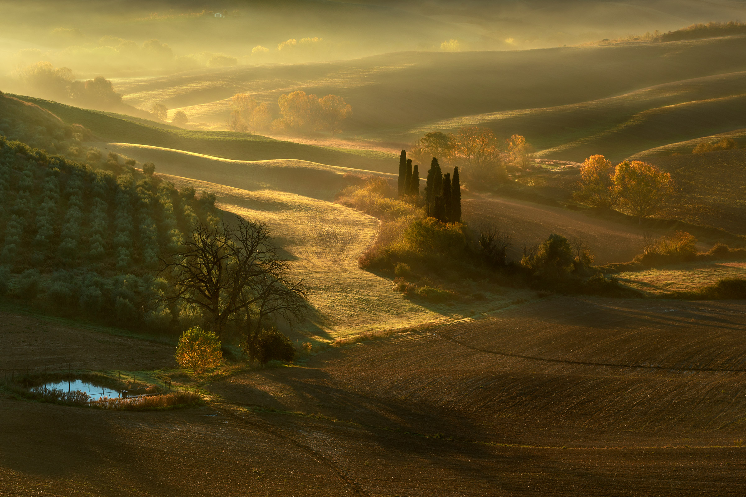 The campaign S.QUIRICO