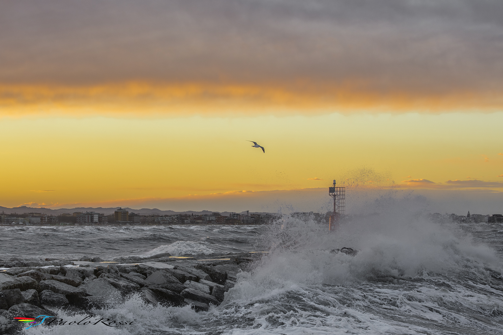 Cavalloni al tramonto