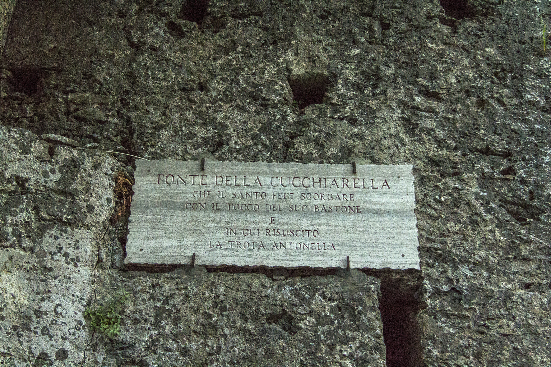 A Cucchiarella "Paola (cs) Santuario San Francesco