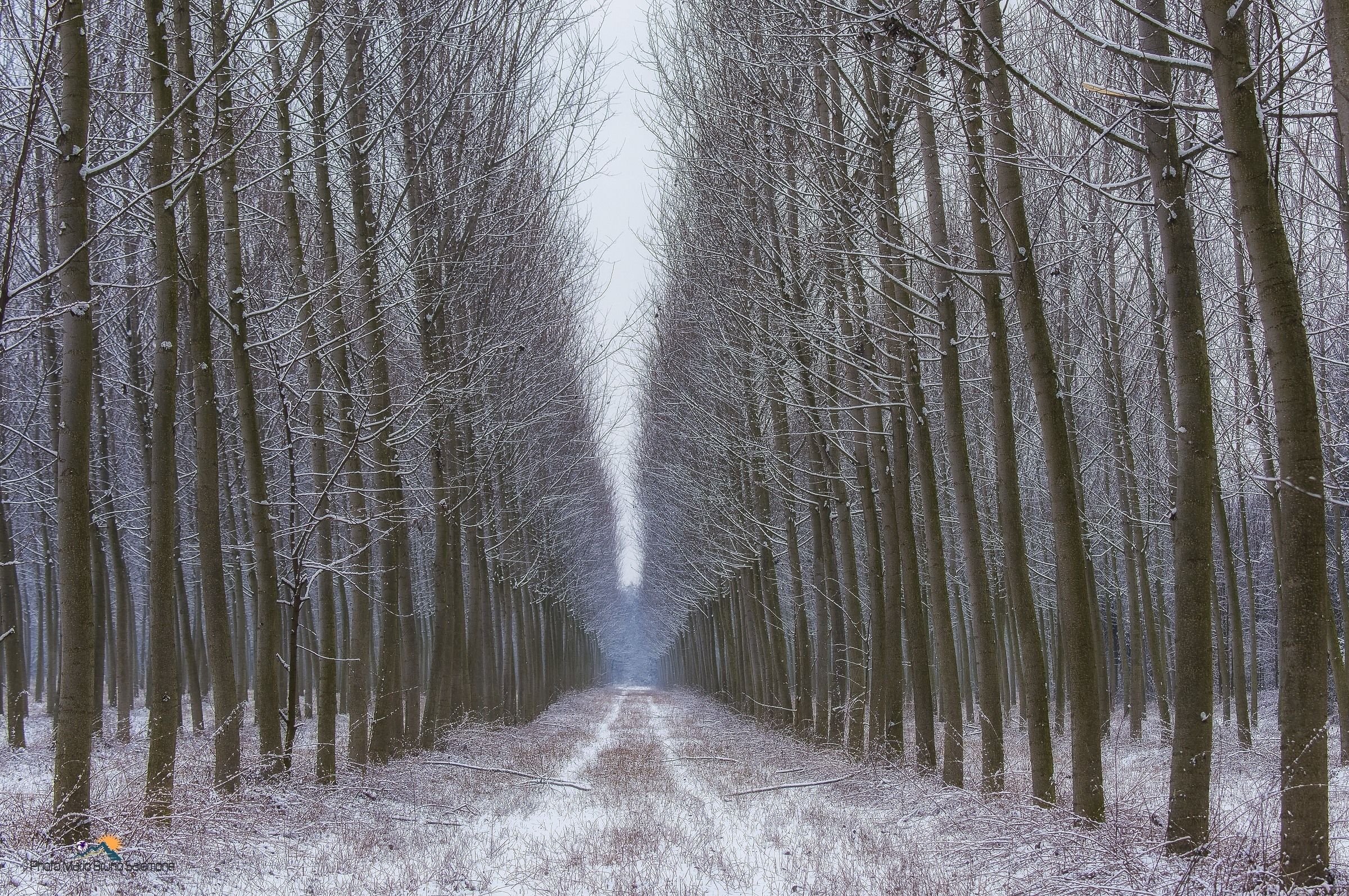 Allineati e ..coperti