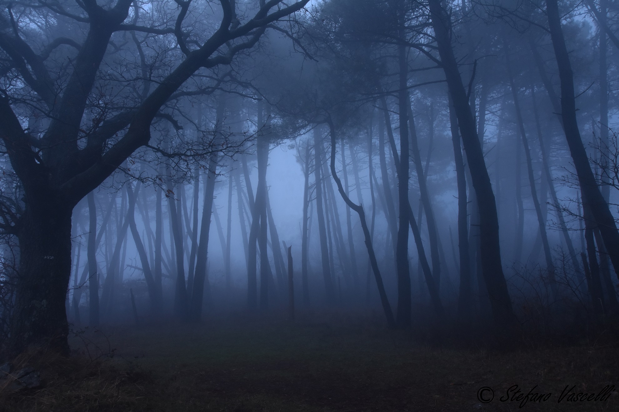 In the dark forest to look for the way lost