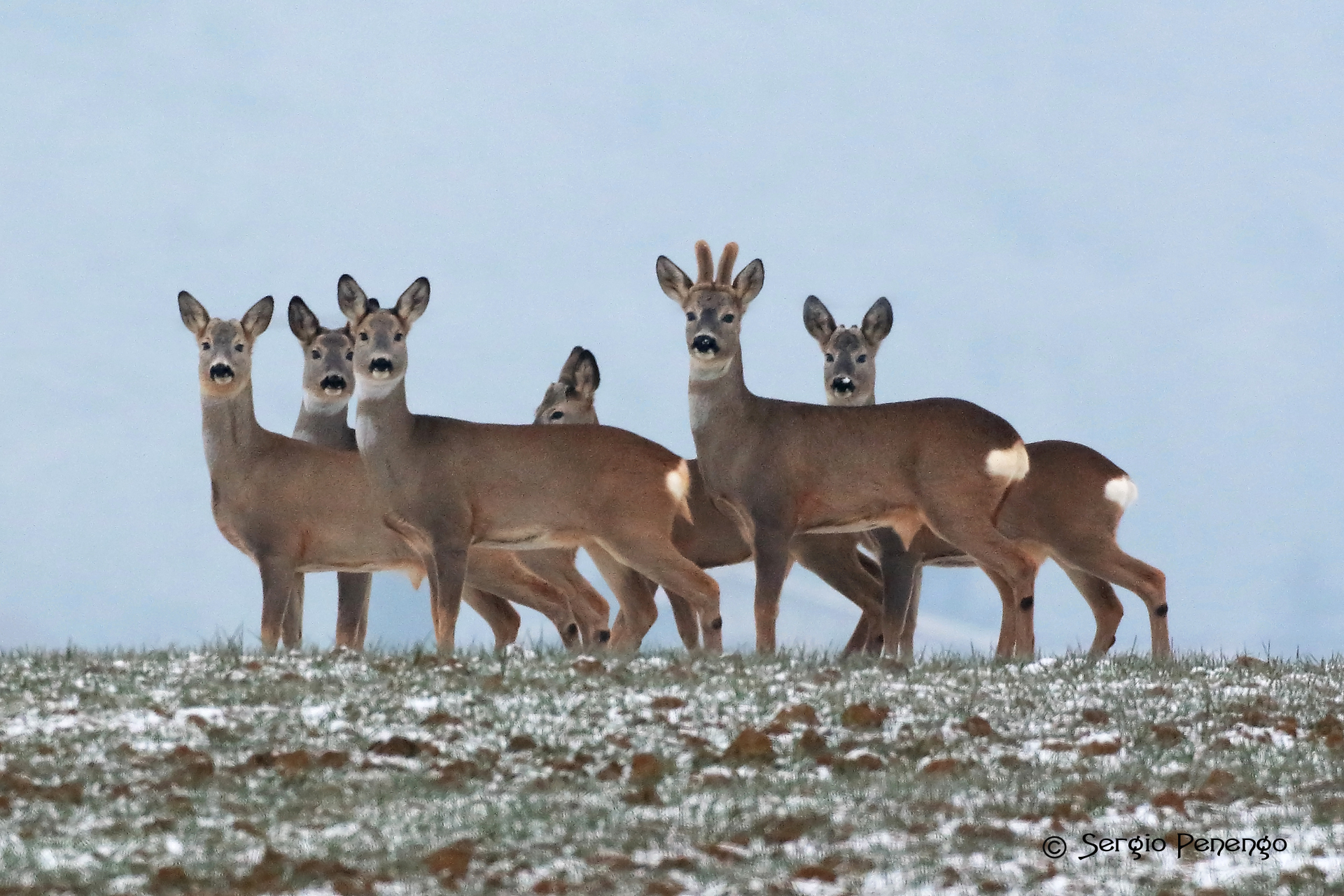 "UN piacevole INCONTRO"