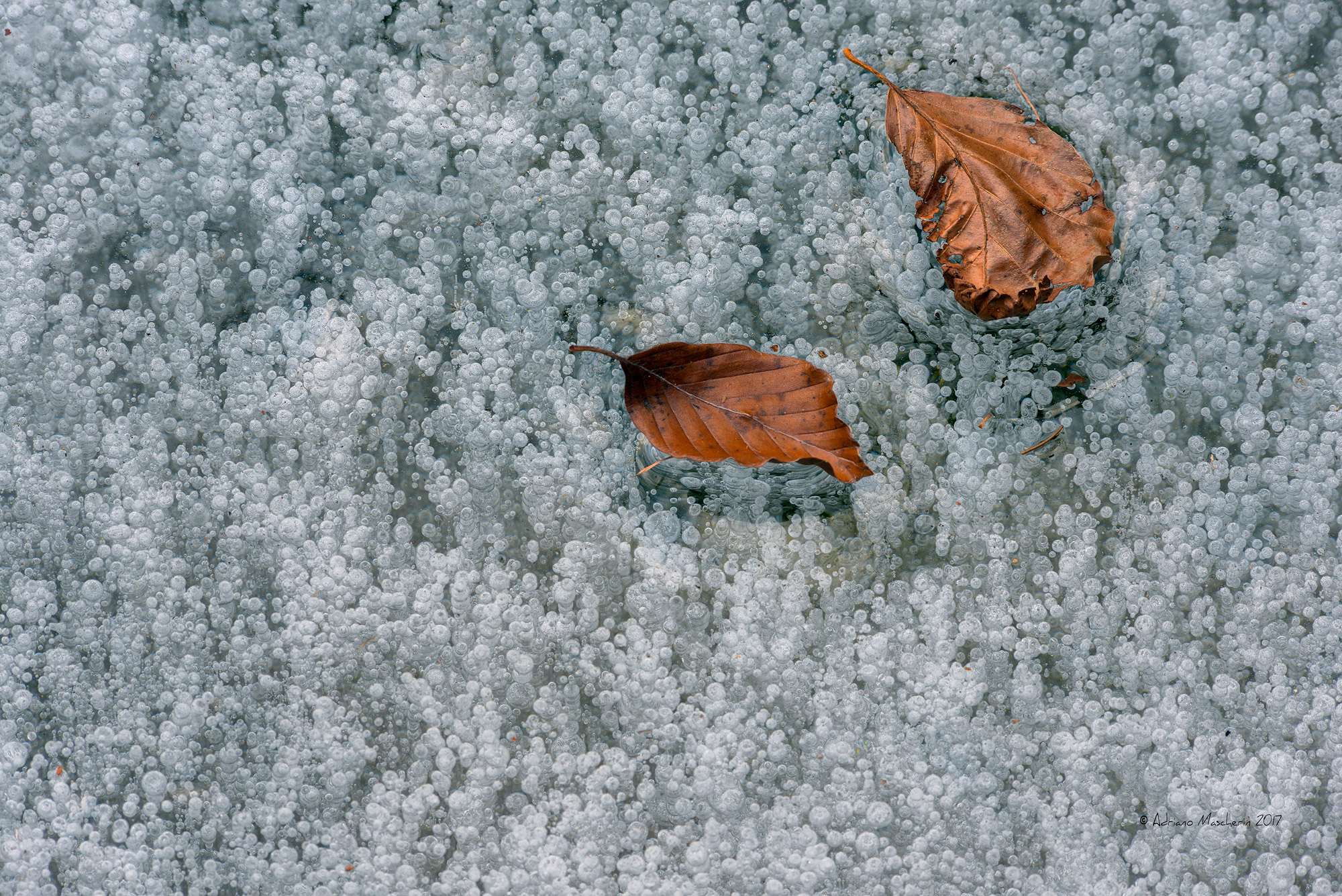 Imprisoned frost ....