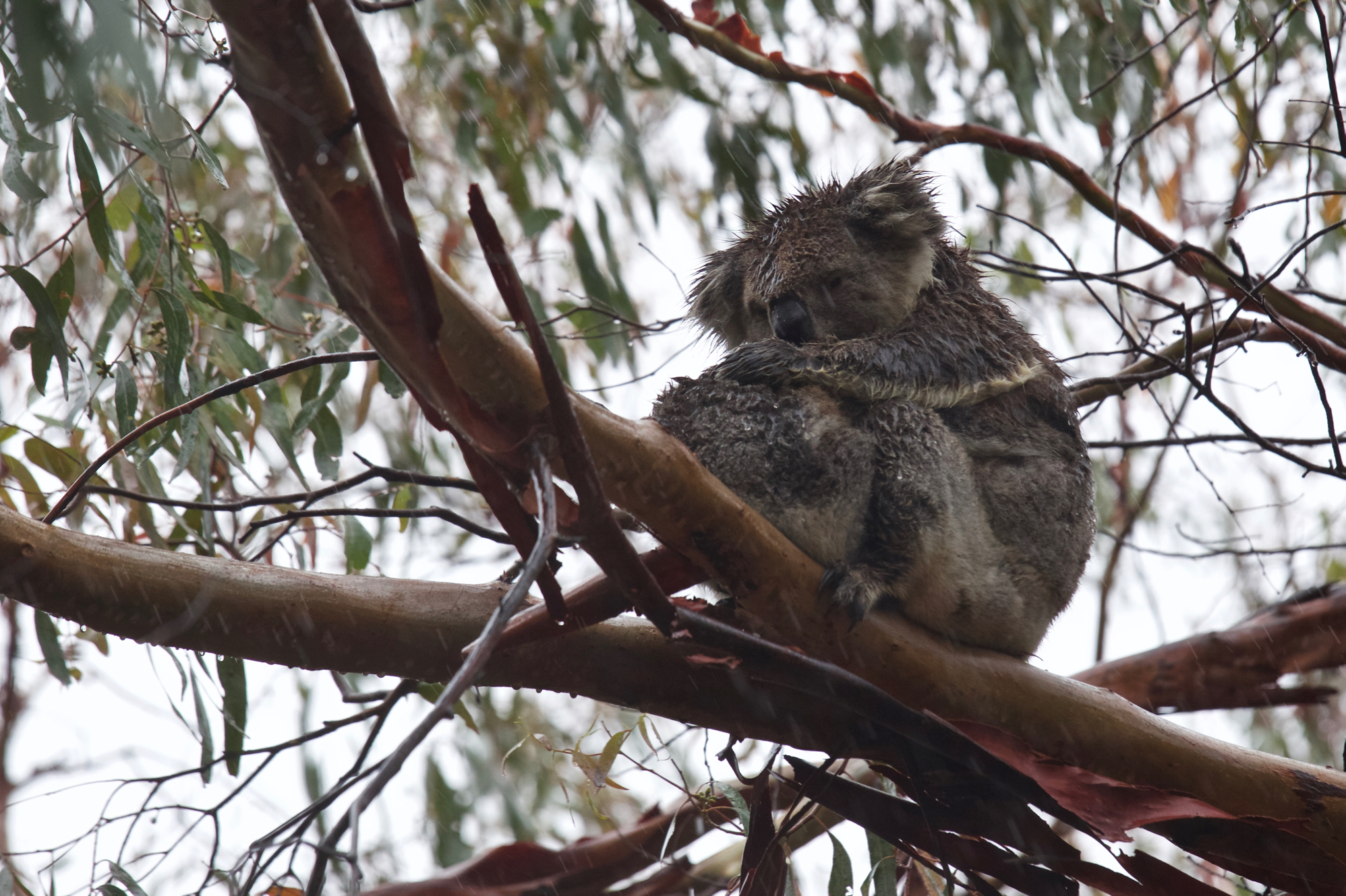 "Expression over profession"