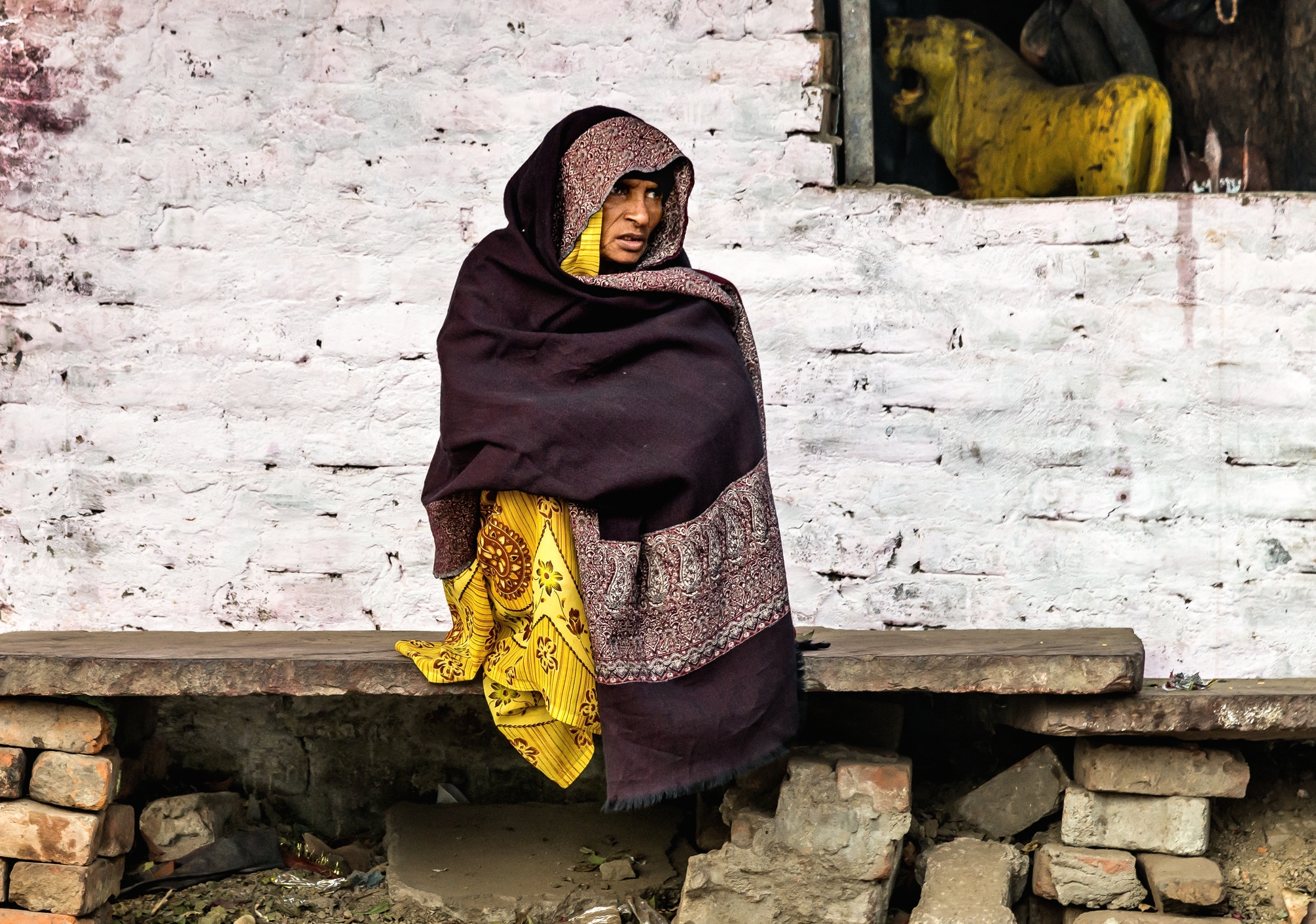 Uttar Pradesh 2017 - Agra all'alba