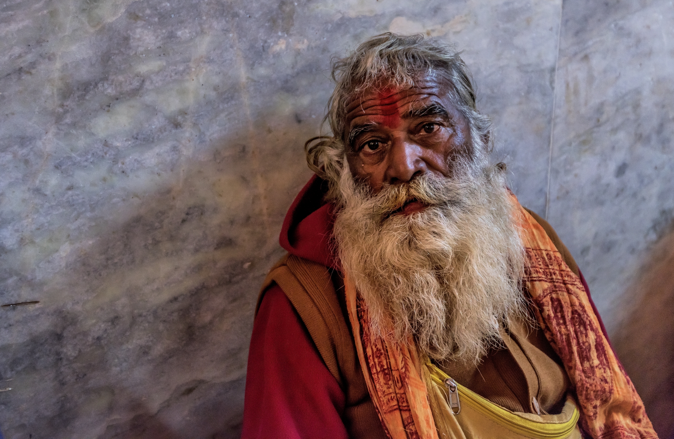 Uttar Pradesh 2017 - Santone a Vinvraden