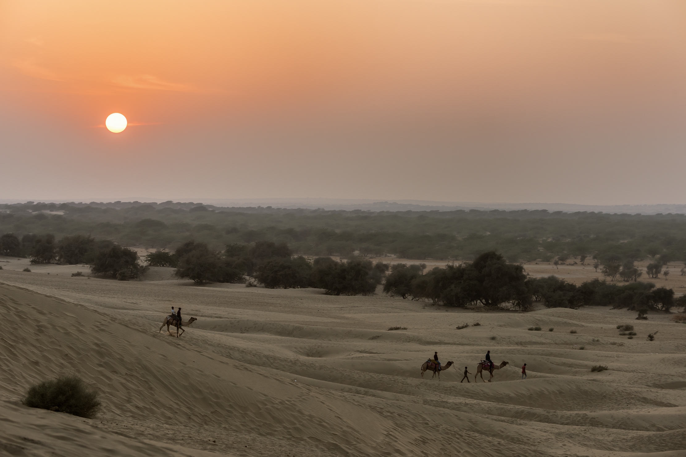 Rajasthan 2017 - Tramonto sul deserto