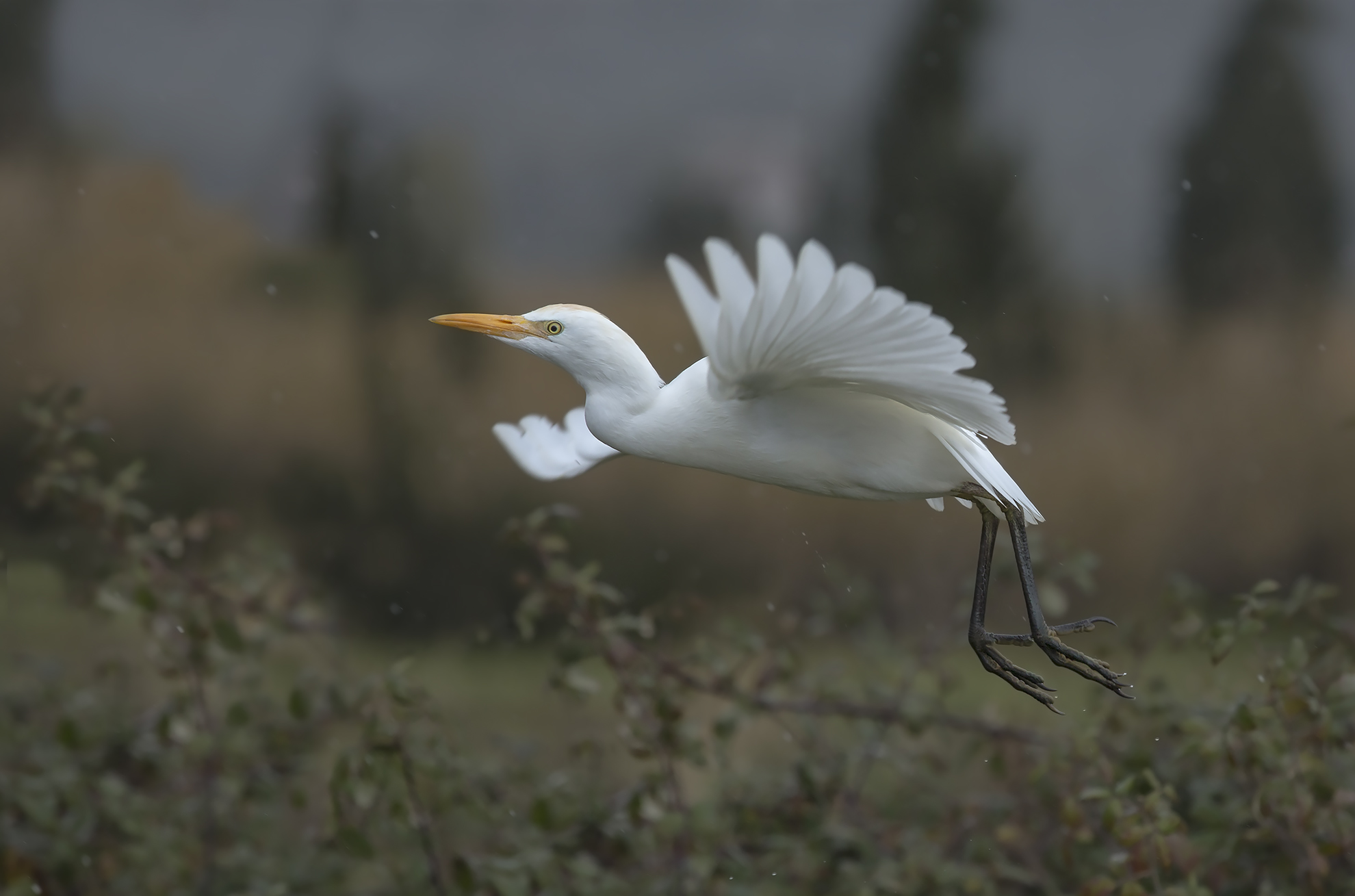 altro dopo il decollo.....under the rain