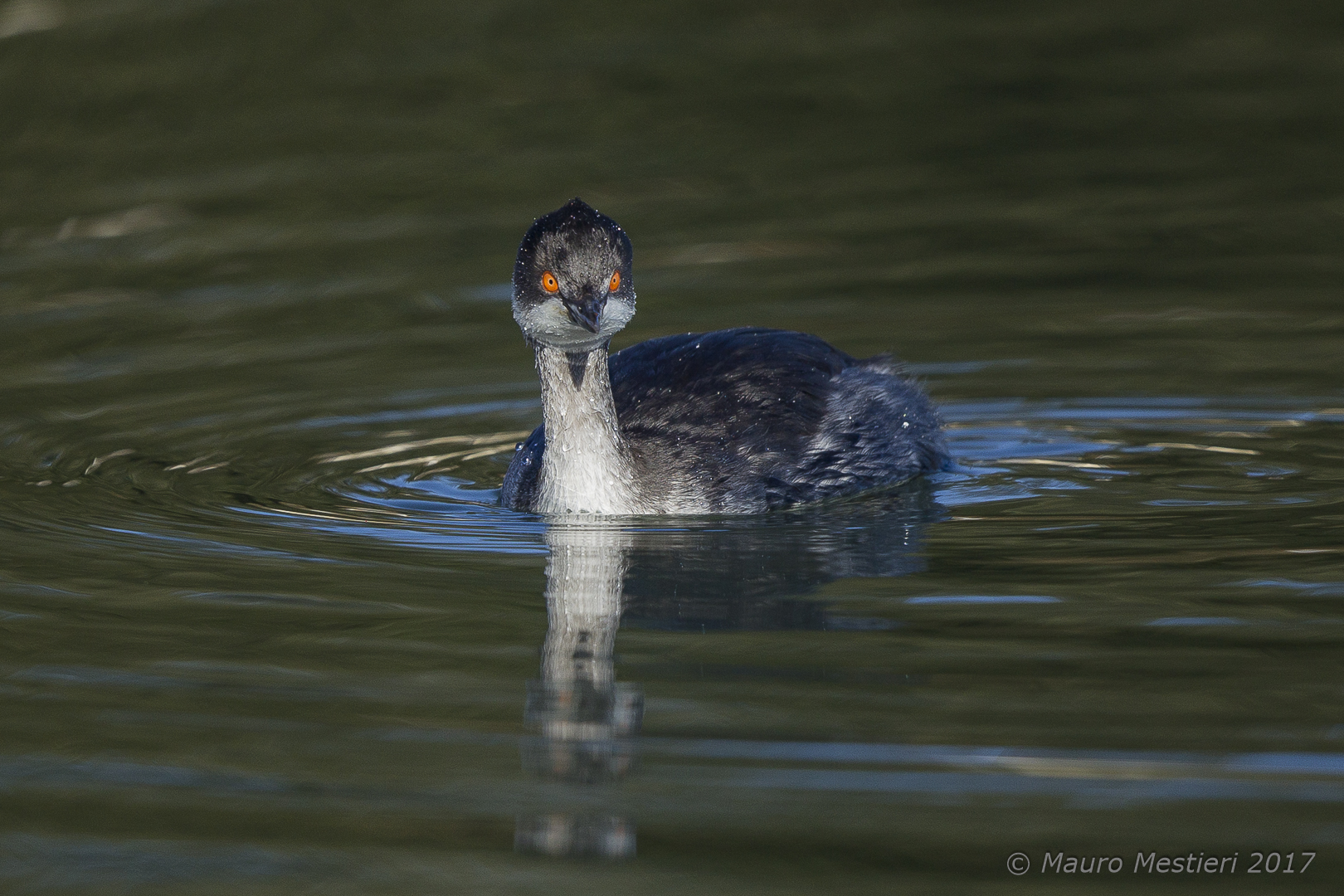 Well, what do you want?