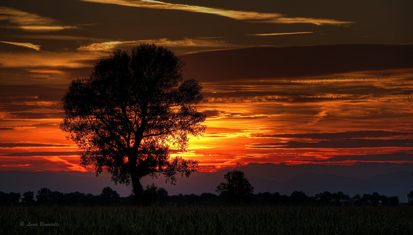 From the lagoon of Caorle