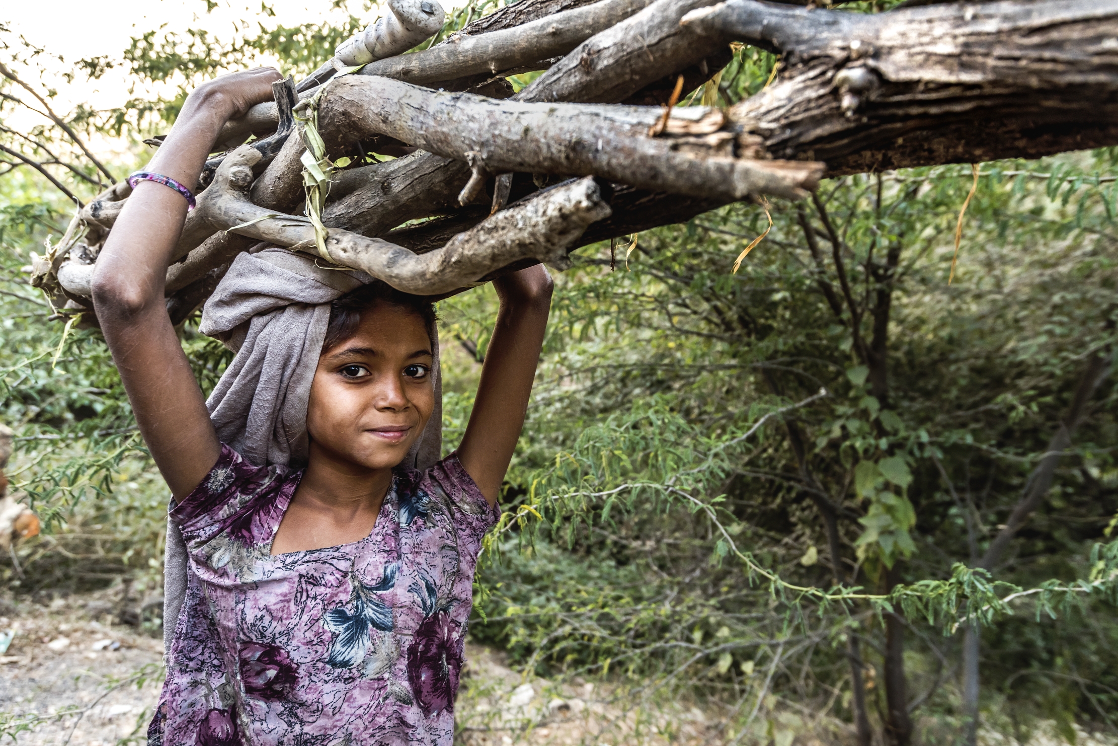 Rajasthan 2017 - Lungo la strada