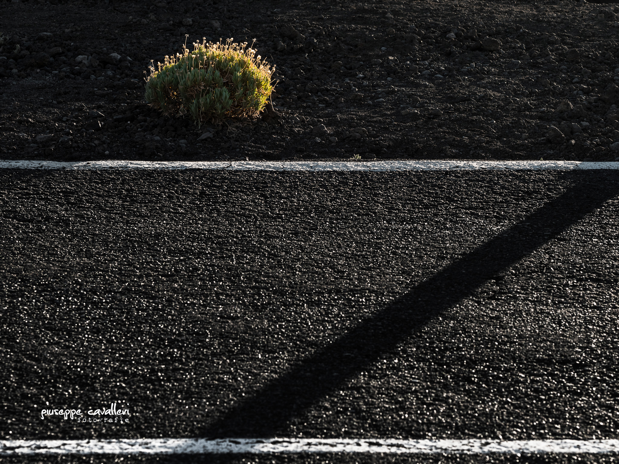 Man Crossing Nature...