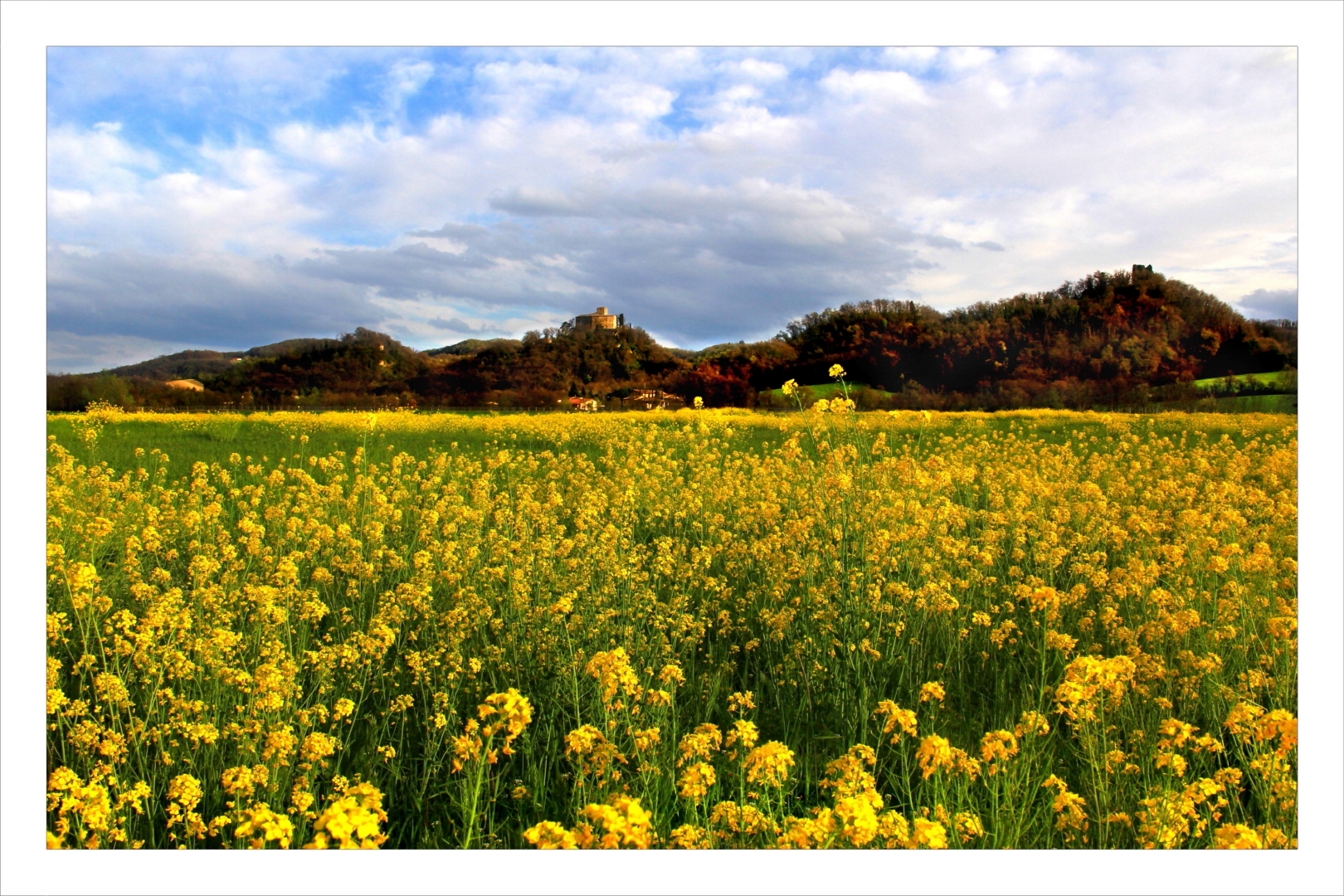 Spring in Quattro Castella