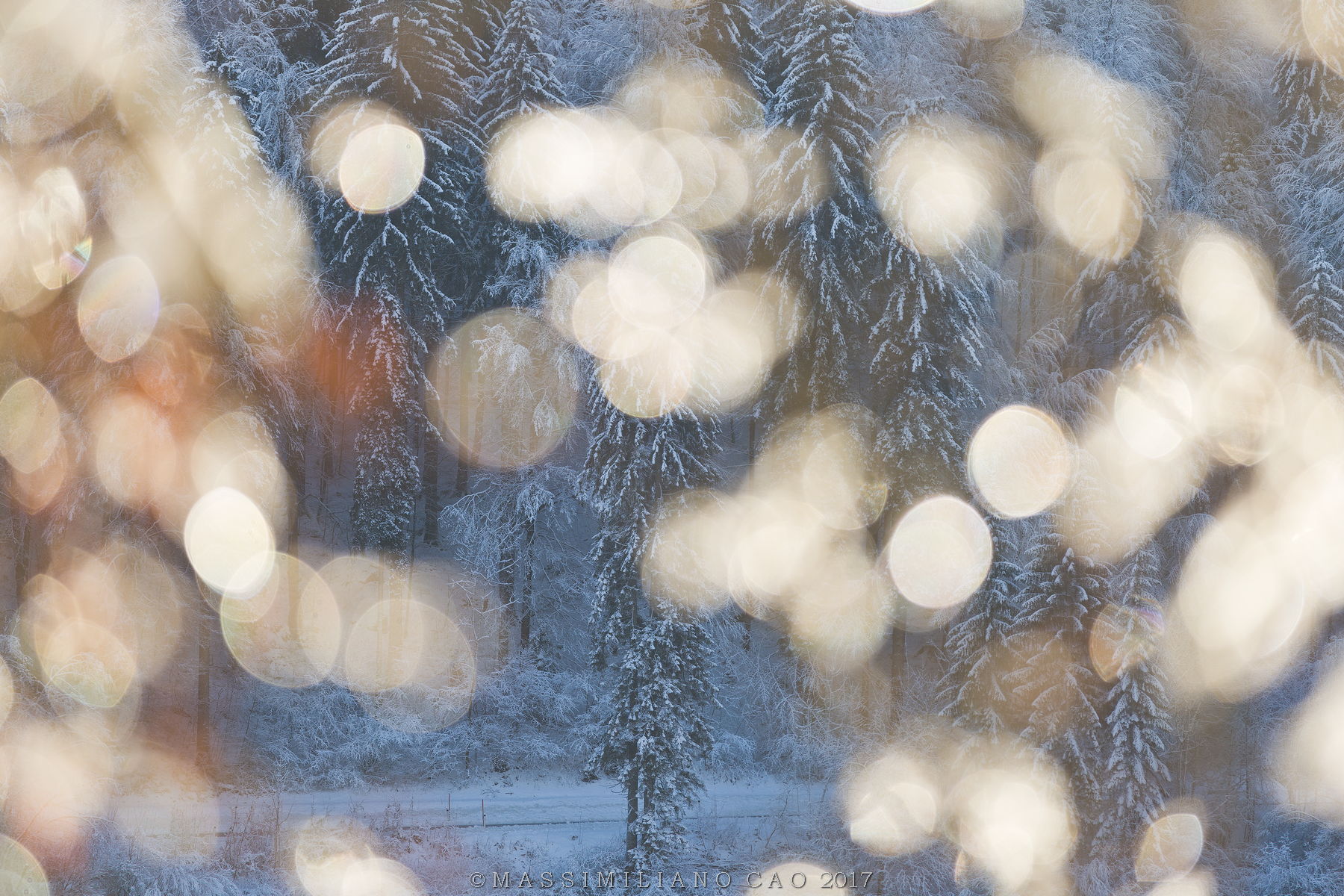 Un freddo allucinante