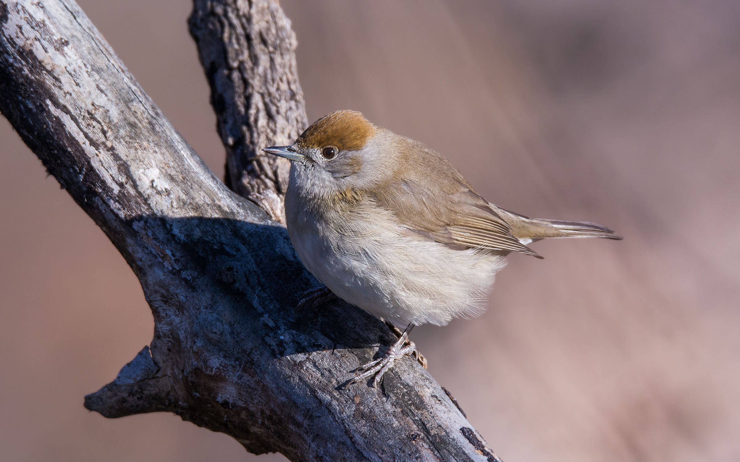Iniziamo il nuovo anno così...